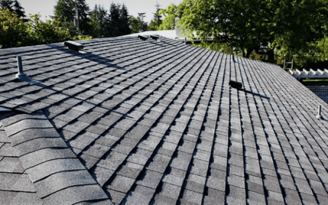 BEST Shingles Euroshield