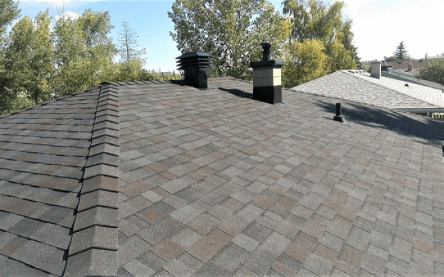 Euroshield Rubber Shingles